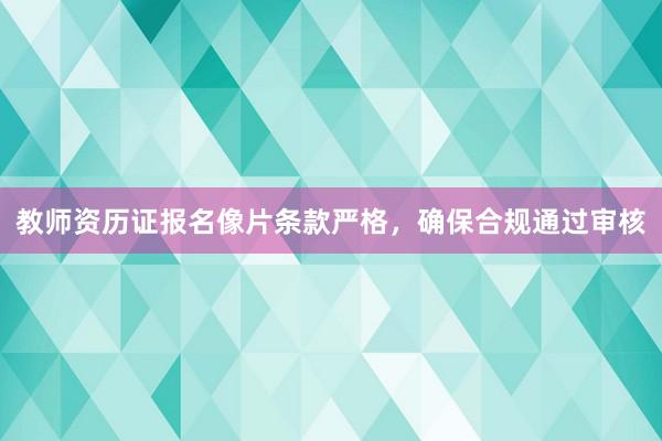 教师资历证报名像片条款严格，确保合规通过审核